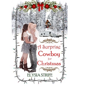 A Surprise Cowboy for Christmas by Elysia Strife